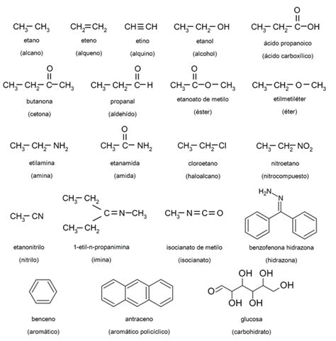 20 Ejemplos de Química Orgánica