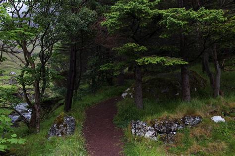 Kunoy, Faroe Islands: Home of the Famous Faroese Forest