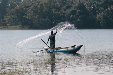 Shifting towards Sustainable Fisheries: Challenges and Opportunities ...