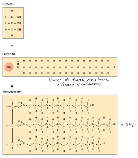 saponification - Soap equation using potash - Chemistry Stack Exchange