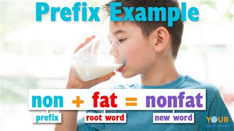 What Are Affixes? Definition, Examples and Types | YourDictionary