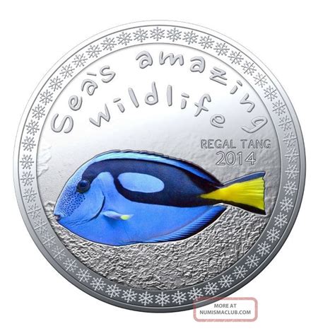 2014 5000 Fcs Burundi Seas Wildlife Regal Tang Silver Proof Finish