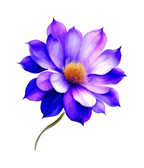 Premium Vector | Watercolor bouquet of blue lotus flower isolated on ...