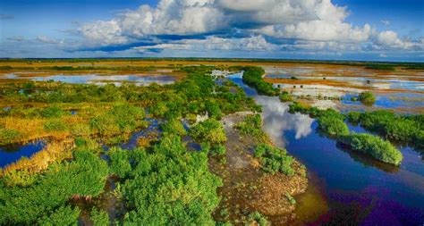 6 Facts About Florida Everglades National Park – Red Ledge