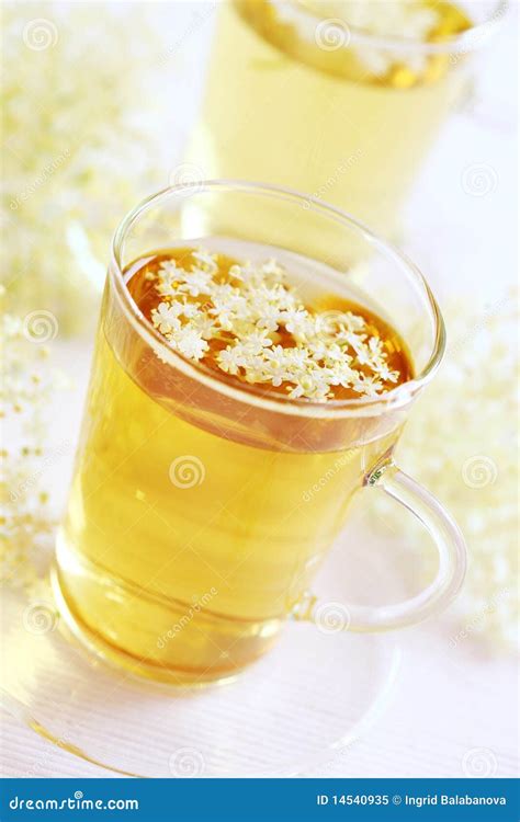 Elder flower tea stock image. Image of lemonade, breakfast - 14540935