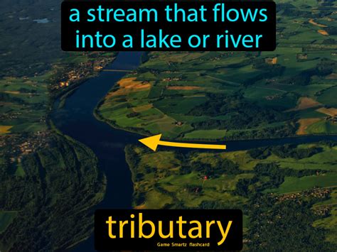 Tributary - Easy Science | Physical science, Easy science, Earth science