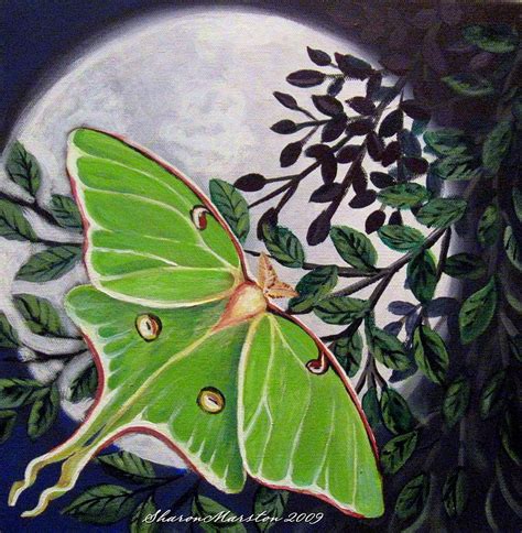 Luna Painting by Sharon Marcella Marston - Fine Art America