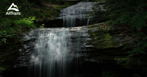 Best Trails near Dahlonega - Georgia | 374 Photos & 301 Reviews | AllTrails