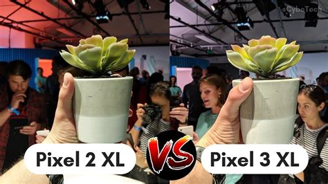 Google Pixel 3 XL VS Pixel 2 XL | Camera Comparison | Camera Test Review - YouTube