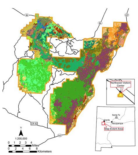 El Malpais National Monument Vegetation Classification and Map | Earth Data Analysis Center