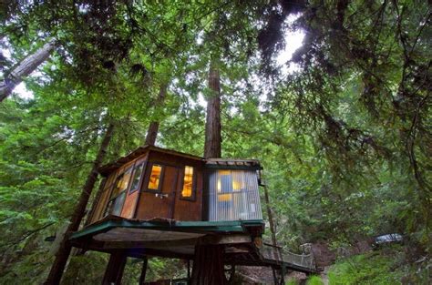 Tiny Treehouse Cabin in the Redwoods