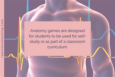 12 of the Best and Most Unique Anatomy Interactive Games - Rae Rocks ...