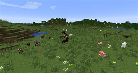 Plains/forest biome with all animals in one area. - Seeds - Minecraft ...