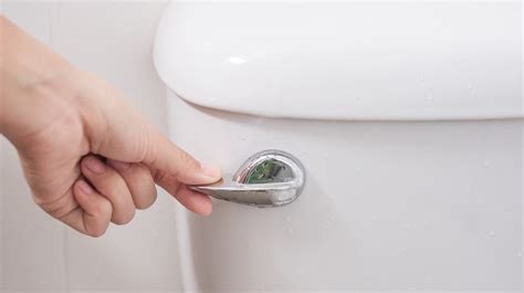 23 Different Types of Toilets - A Complete Overview | House Grail