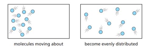 diffusion Archives — Biology Notes