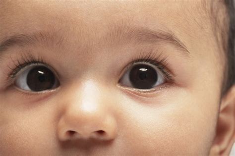 Adverse Effects of Gentamicin Eye Drops on Babies | Livestrong.com