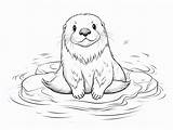 Lovely Sea Otter Coloring Page  sketch template