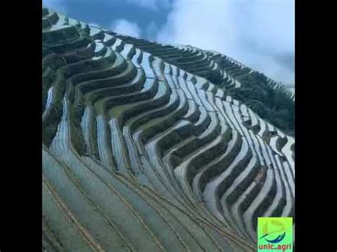 Contour bunding in India, Agriculture - YouTube