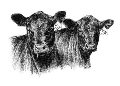 Black and White Cow Logo - LogoDix