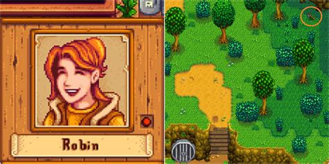 Stardew Valley: How To Befriend Robin