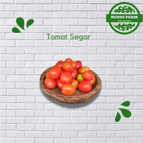 Jual TOMAT SEGAR / TOMAT BUAH | Shopee Indonesia