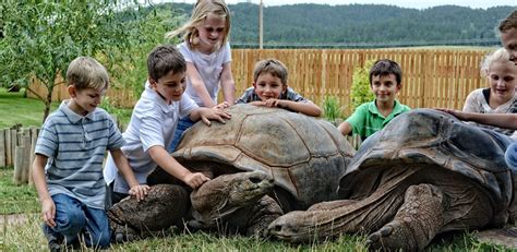 Wild Animal Park | Black Hills attraction | Reptile Gardens