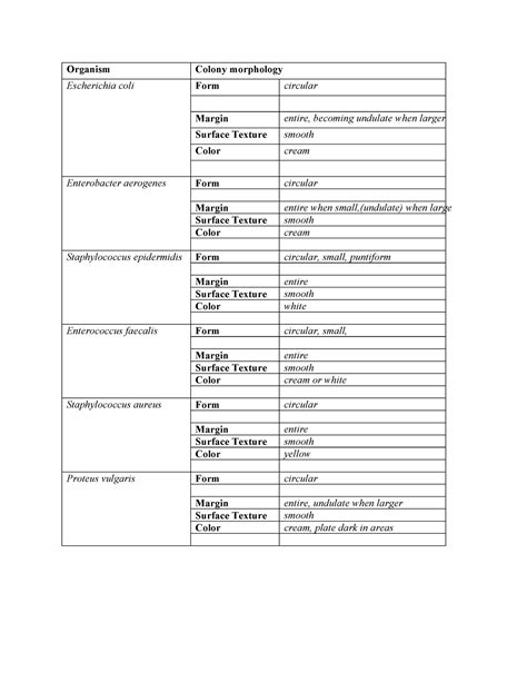 Enterobacter Aerogenes Morphology