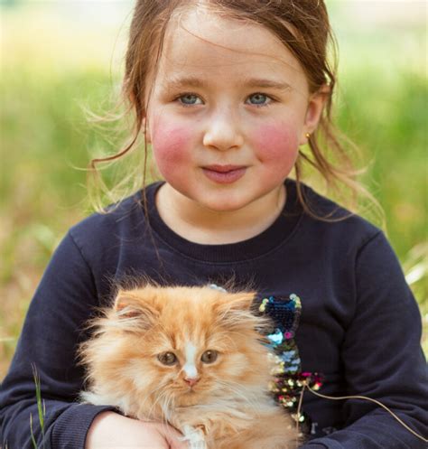 10 best cat breeds for kids- The Long Whiskers