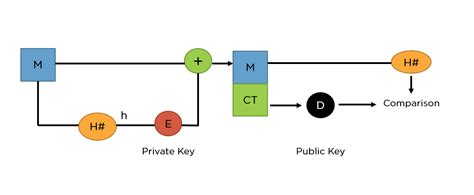 RSA Algorithm: Secure Your Data with Public-Key Encryption