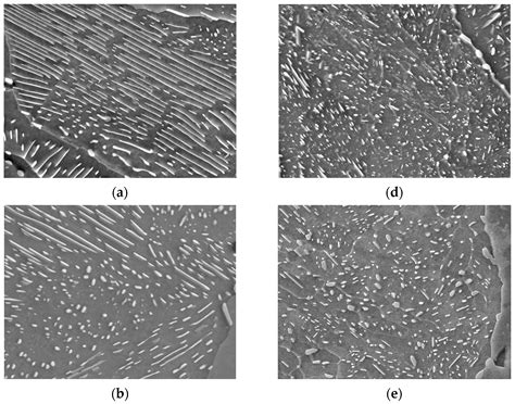 Coarse Pearlite Microstructure