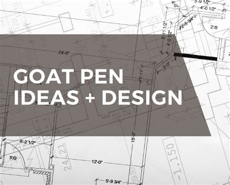 Goat pen ideas and design - Grazing with Leslie