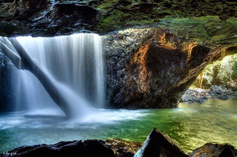 Natural Bridge- Springbrook | Natural bridge springbrook, Natural ...