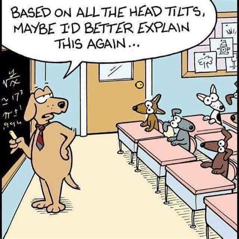 75 best Math Jokes images on Pinterest | Math humor, Funny math and Math comics