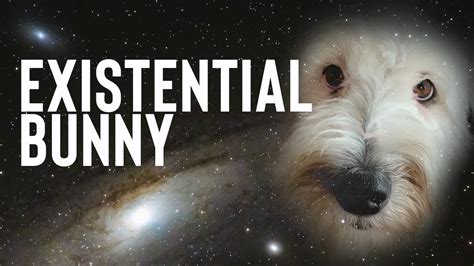 Bunny The Talking Dog Has Existential Thoughts - YouTube