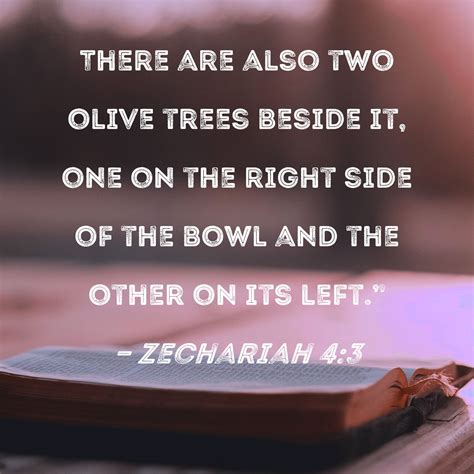 Zechariah 4:3 There are also two olive trees beside it, one on the right side of the bowl and ...