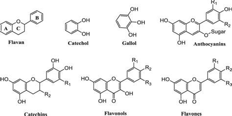 3 Flavonoid derivatives with basic structures found most commonly [24 ...