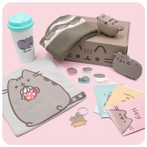 Past Boxes | Pusheen Box