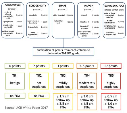 Acr Ti Rads Scoring System Diagram Image Radiopaedia Org | My XXX Hot Girl