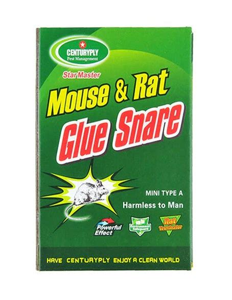 Mouse Glue Mouse Insect Rodent Lizard Trap Rat Catcher Adhesive Sticky Glue Pad – Non Poisonous ...