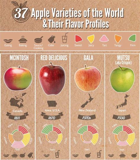 37 Apple Varieties Around the World & Their Flavor Profiles [Infographic]