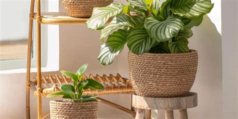 Wayfair Planters Sale 2022: Stands Are Up to 60% Off for Way Day