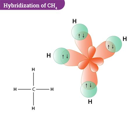 Hybridization of CH4 (Methane) - Detailed Explanation and FAQs