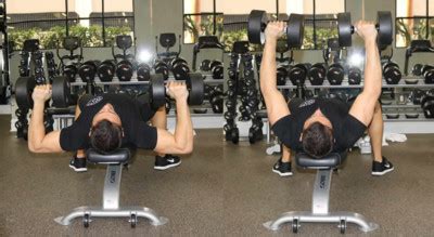 Flat Dumbbell Press - The Optimal You | Online Personal Trainers ...