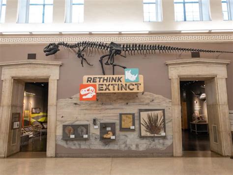 What It's Like to Visit the Buffalo Museum of Science - Uncovering New York