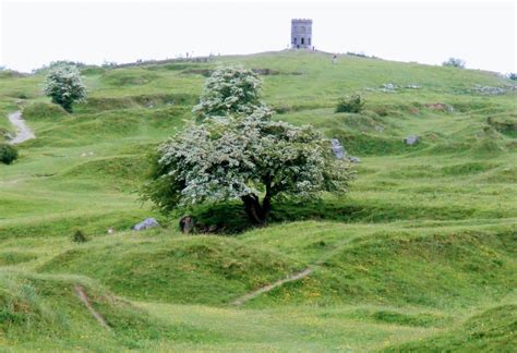 Solomons Temple Buxton in June | Photographing Wildflowers