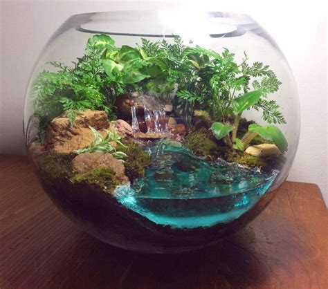 How to make water for a terrarium? - Resin Obsession