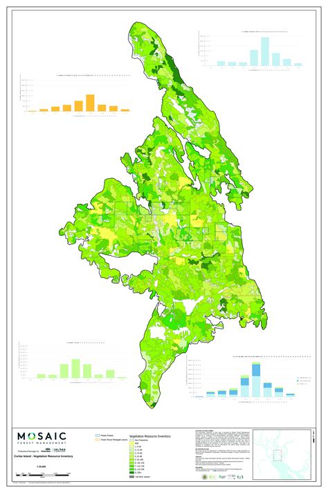 Cortes Maps — Mosaic Forest Management