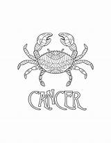 Cancer Coloring Page / Digital Download Printable Astrological Sign  sketch template