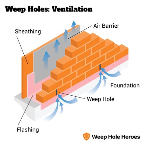 What Are Weep Vents And What Is Their Purpose?