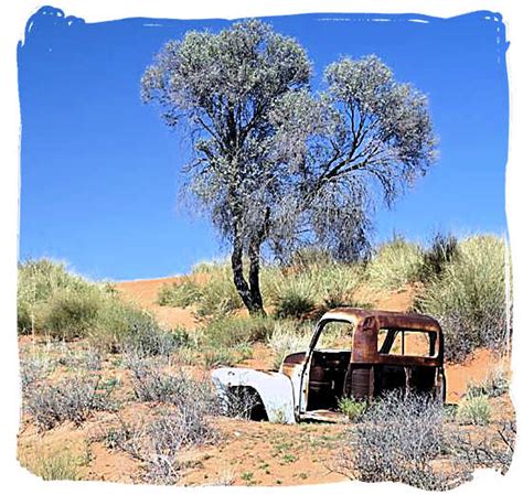 This one didn’t survive - Kalahari Desert Climate in the Kgalagadi ...